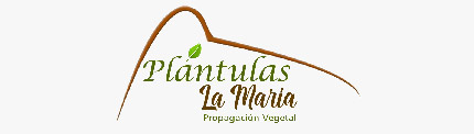 LOGOS-LANDING-18.jpg